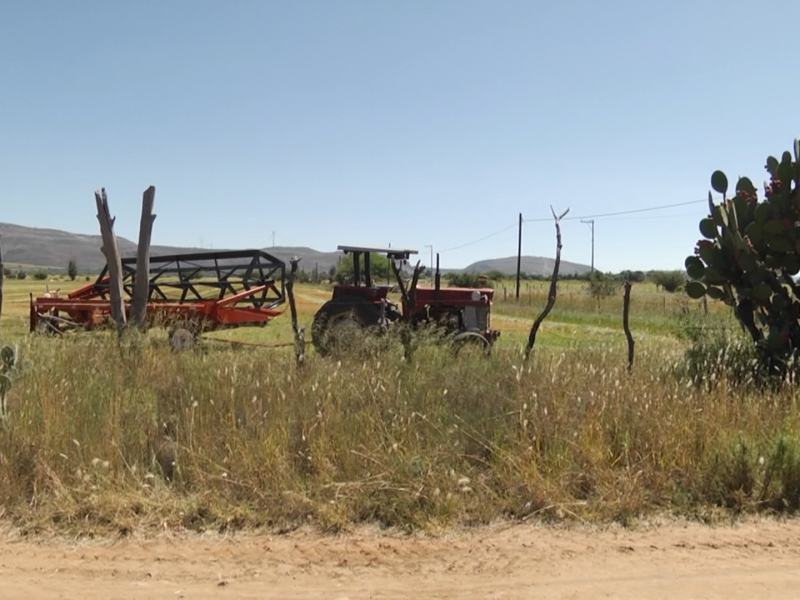 Se espera menos producción por sequía: áreas agrícolas