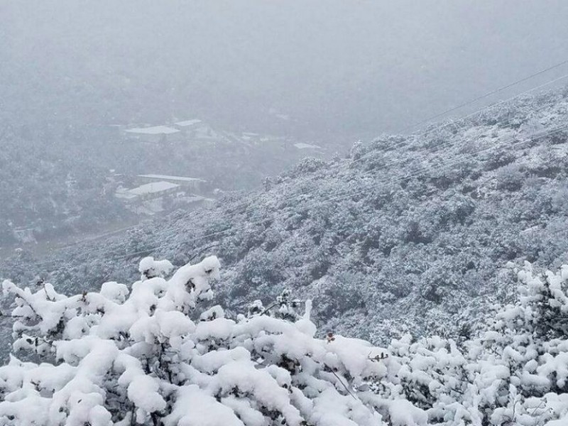 Se espera Séptima Tormenta Invernal en Sonora