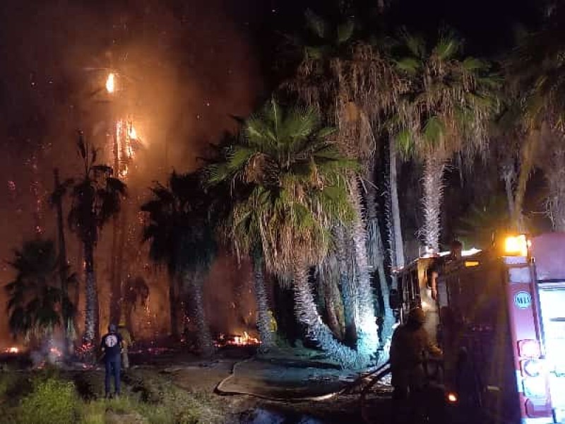 Se evalúan  daños de incendio en Todos Santos: PC