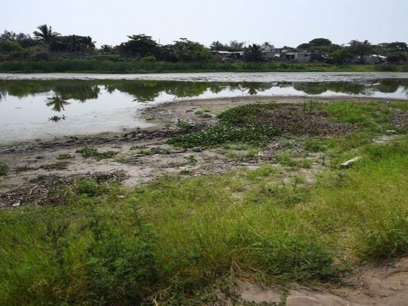 Se extingue laguna de Tarimoya en Veracruz