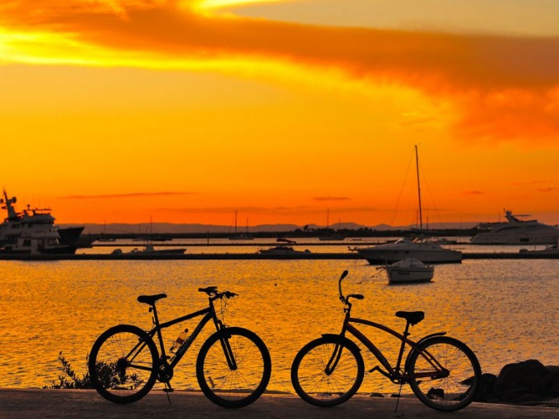 Se festeja el dia internacional de la bicicleta