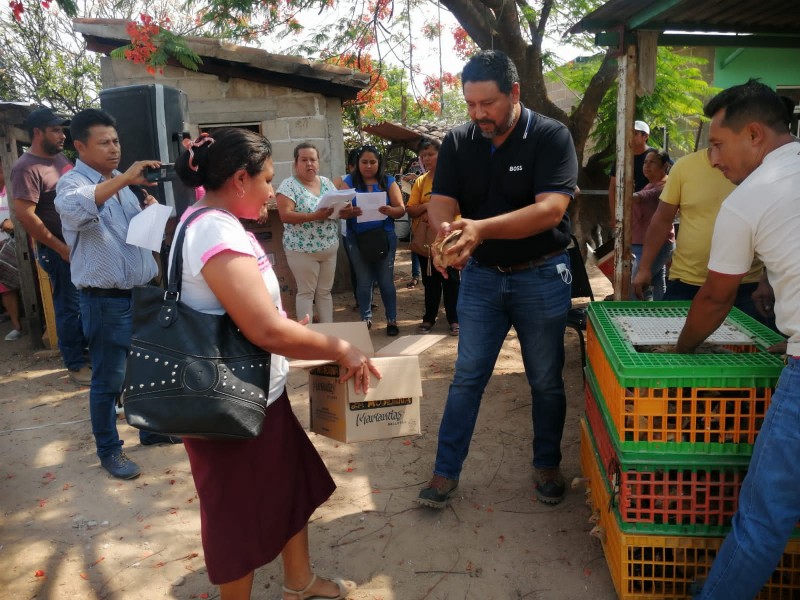 Se fomenta producción avícola para sustento familiar