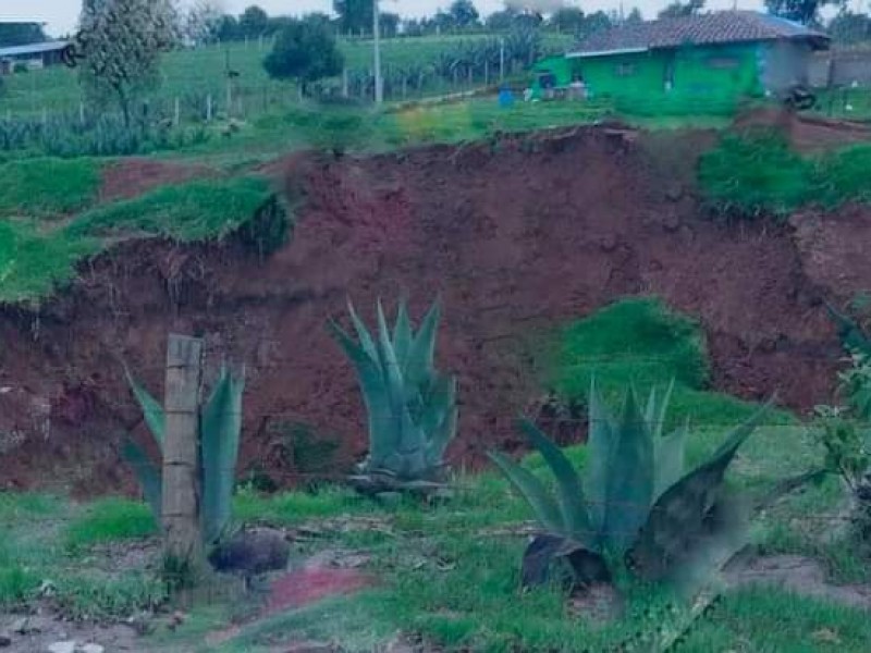 Se forma socavón en terrenos de cultivo de Ahuazotepec