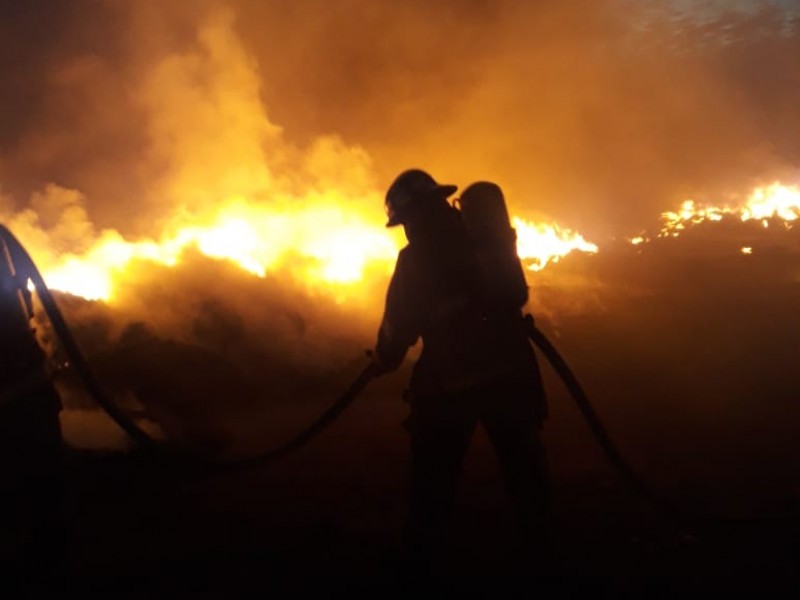 Se han contabilizado 573 incendios con 7 mil hectáreas afectadas