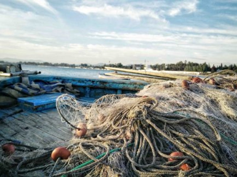 Se han encontrado redes de pesca ilegales: FONMAR