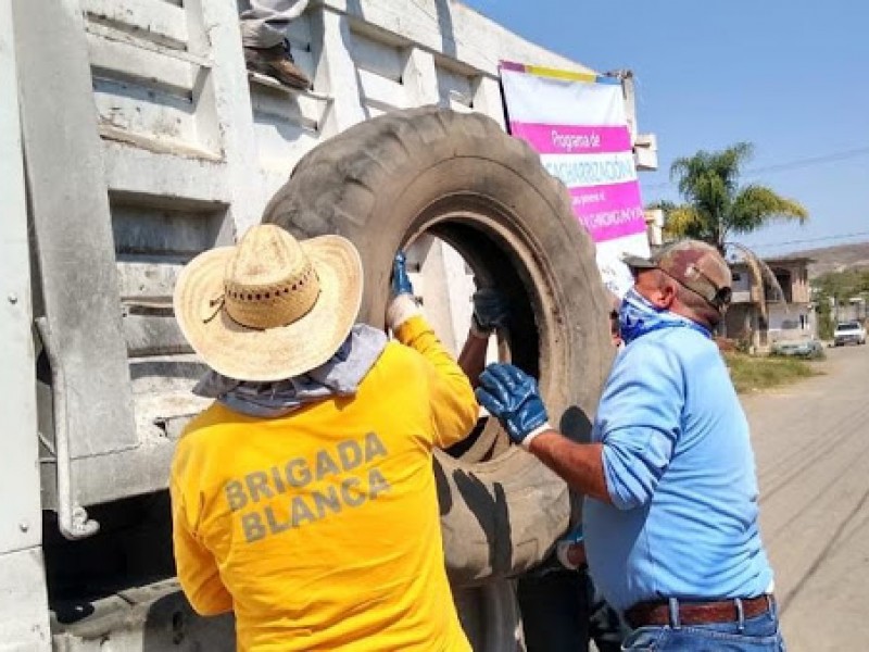 Se han recolectado 300 toneladas de cacharros en Tepic