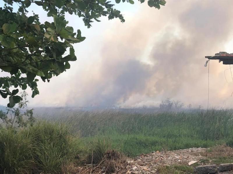 Se han registrado 293 incendios de pastizales y basura