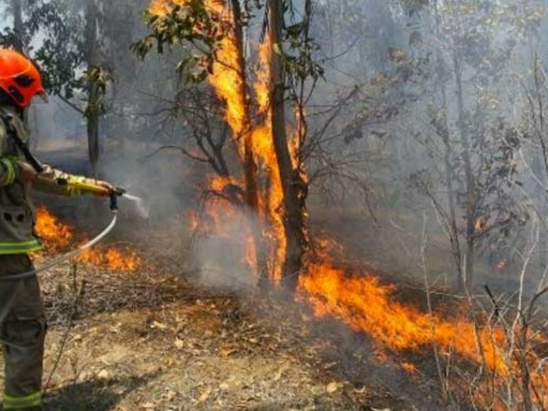 Se han registrado 51 incendios forestales