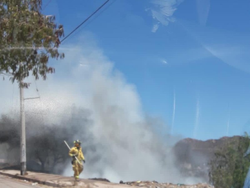 Se incendia bulevard en Loma Dorada