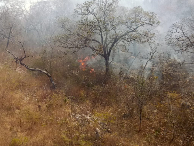 Se incendia Cañón del Sumidero