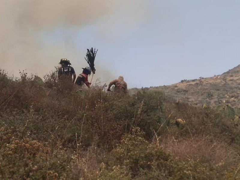 Se incendia cerro del grillo