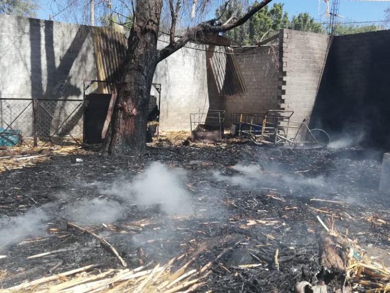 Se incendia granja traspatio en Coapan