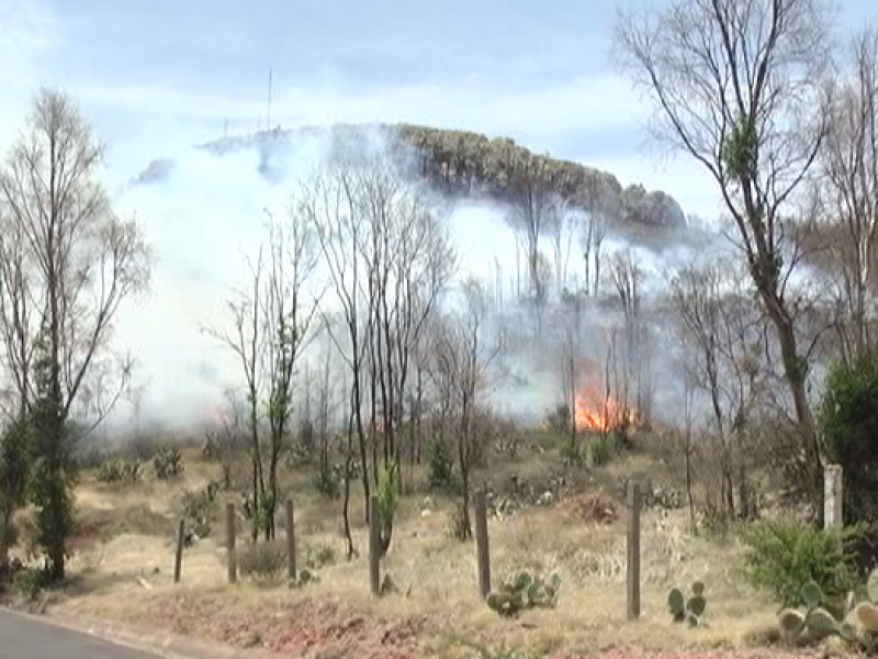 Se incendia la Bufa