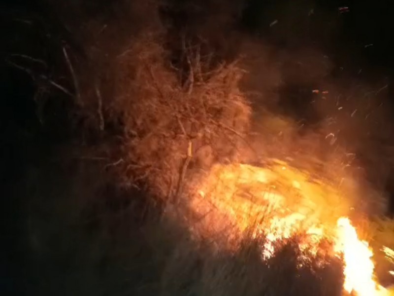 Se incendia pastizal en carretera rumbo a Minatitlán