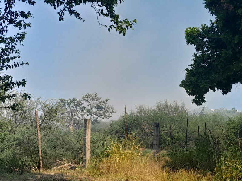 Se incendia pastizal en La Calzada