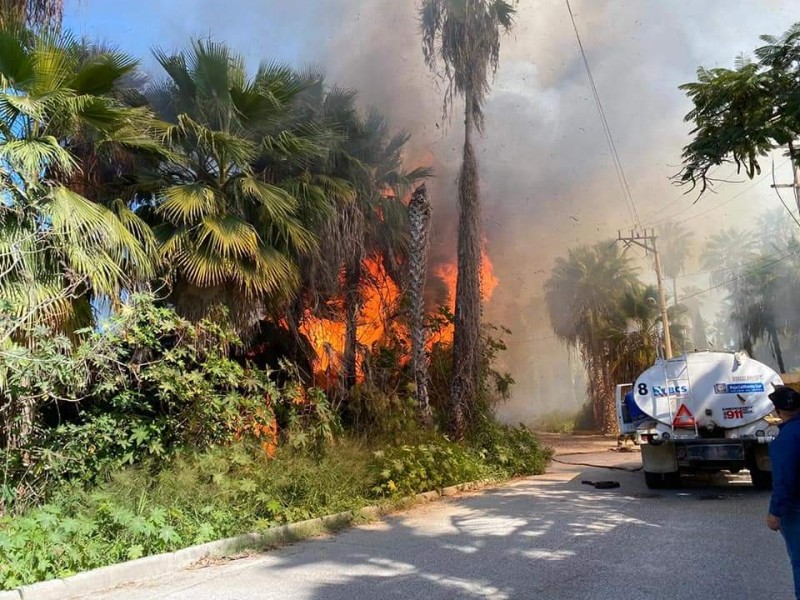 Se incendia zona de palmare en Todos Santos