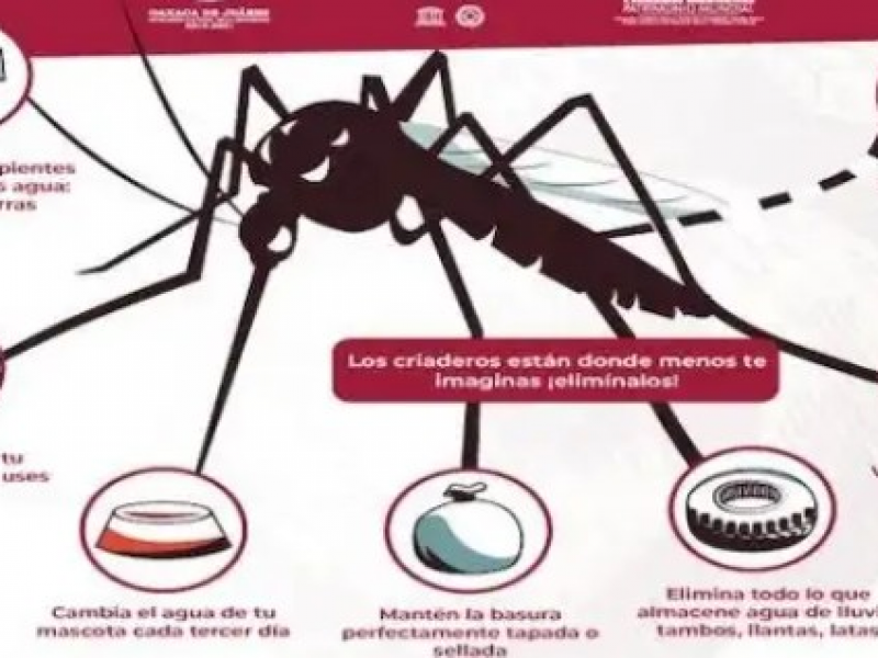 Se incrementan casos de dengue en Gómez Palacio