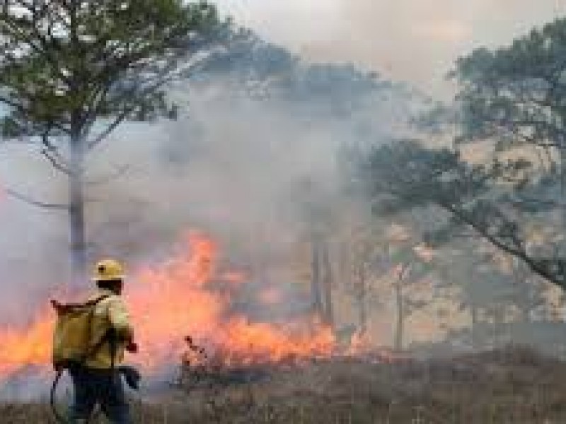 Se incrementan, en Chiapas, hectáreas consumidas por el fuego