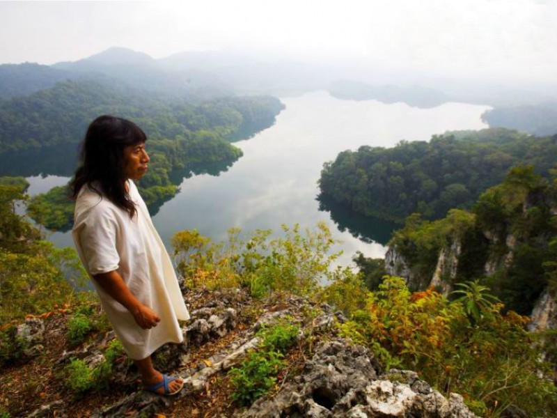 Se incrementan reservaciones en la Selva Lacandona