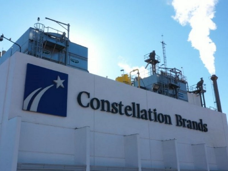 Se instalará Constellation Brands en el sur de Veracruz