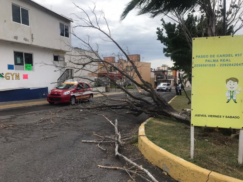 Se intensificará evento del norte durante viernes