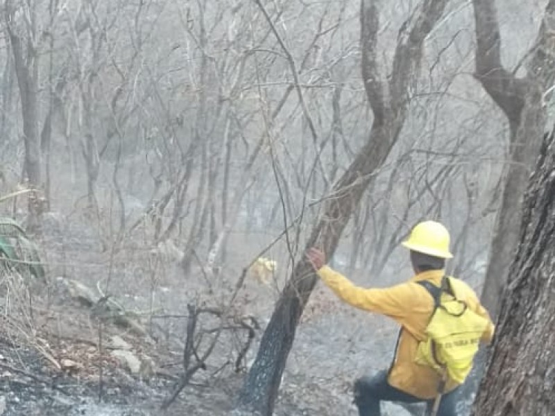 Se invertirán millones para prevención y combate de incendios