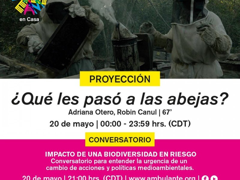 Se lleva a cabo semana de cine documental en casa