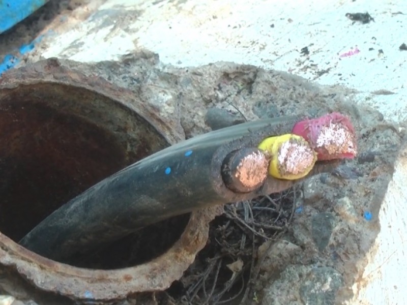 Se llevan todo el cableado en el Campo5