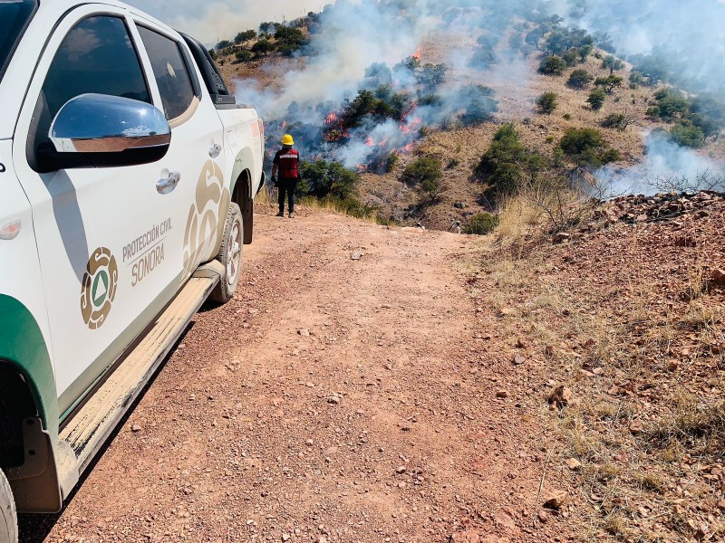 Se logra control del 100 por ciento en incendio forestal