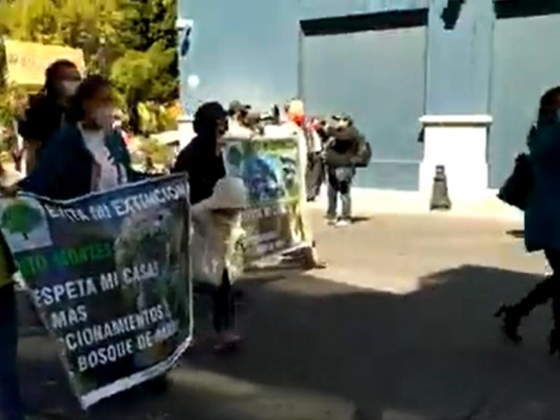 Se manifiestan ambientalistas al rescate de Flor del Bosque