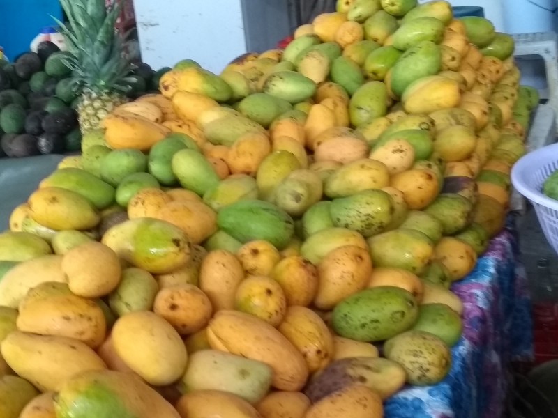 Se mantiene en 14 pesos kg de mango