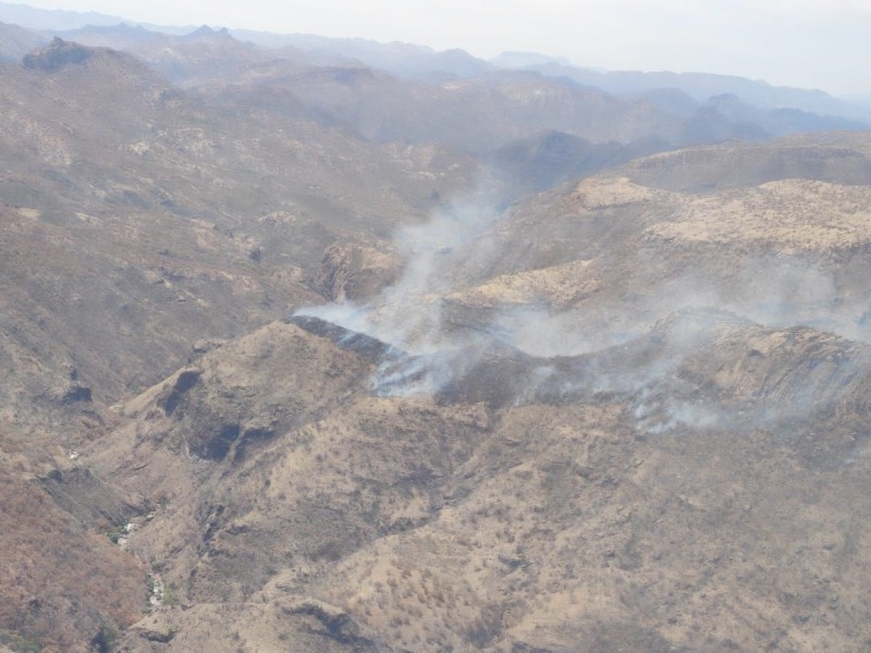Se mantiene incendio forestal en Sahuaripa