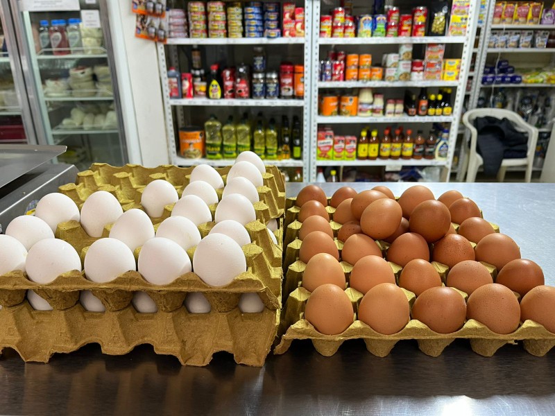 Se mantiene inestable el precio del huevo en mercados de León