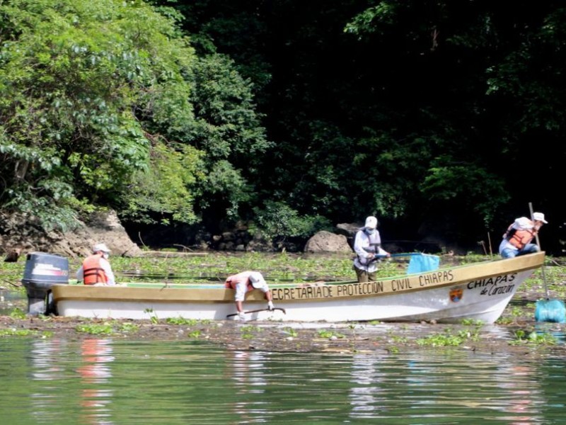 Se mantiene limpieza en el Cañón del Sumidero