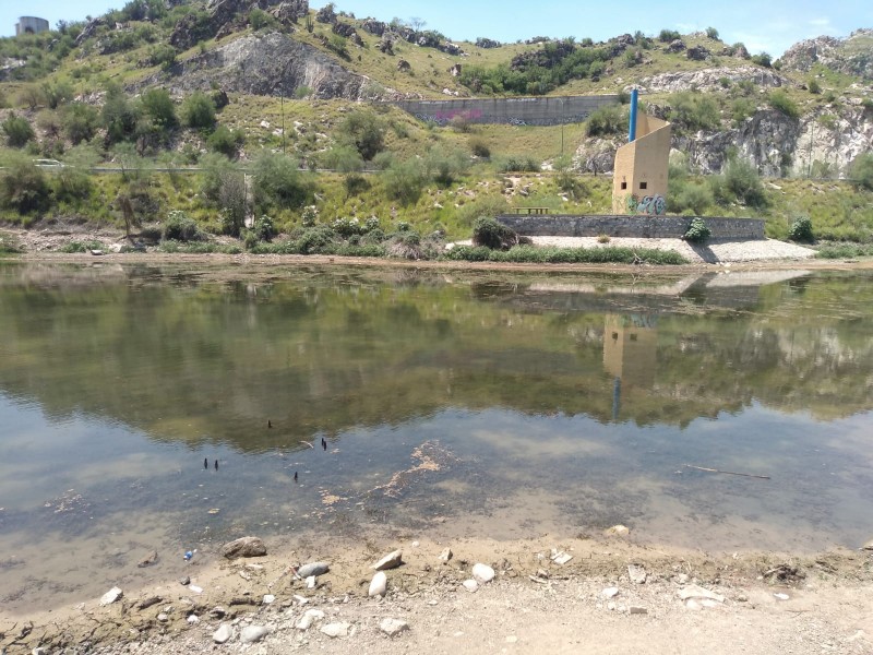 Se mantiene nivel de agua en laguna de La Sauceda