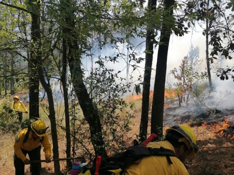 Se mantienen 16 incendios activos en Veracruz