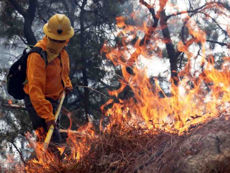 Se mantienen activos 89 incendios forestales en México.