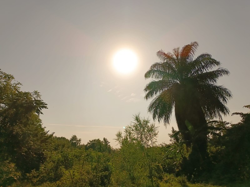 Se mantienen condiciones estables del clima en Veracruz