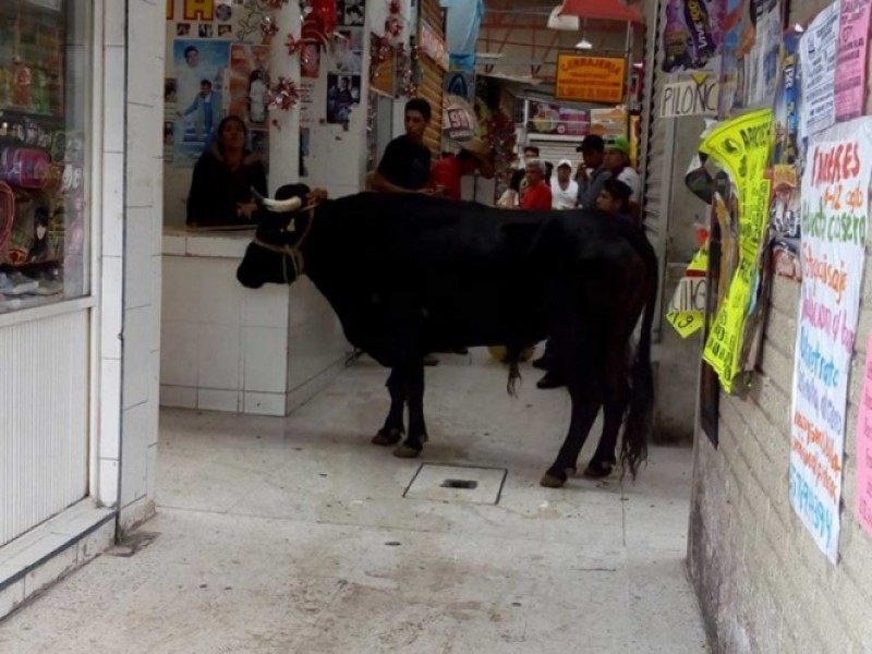 Se mete toro en mercado público de Tláhuac