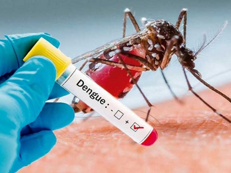 Se multiplican los casos de dengue en Nayarit