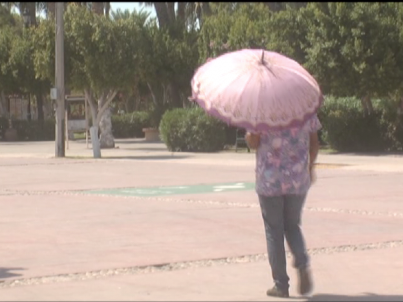 Se pide precaucion para Fiebre manchada