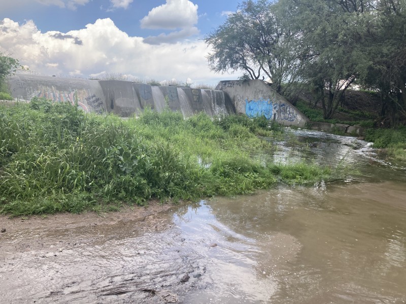 Se pierden entre 30 y 40% de cultivo en Guanajuato