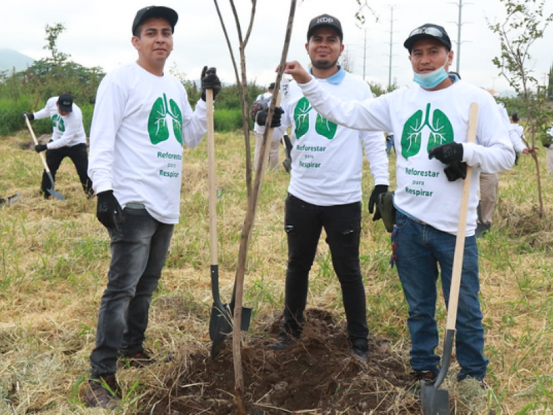 Se plantan más de 50 mil árboles en Tlajomulco