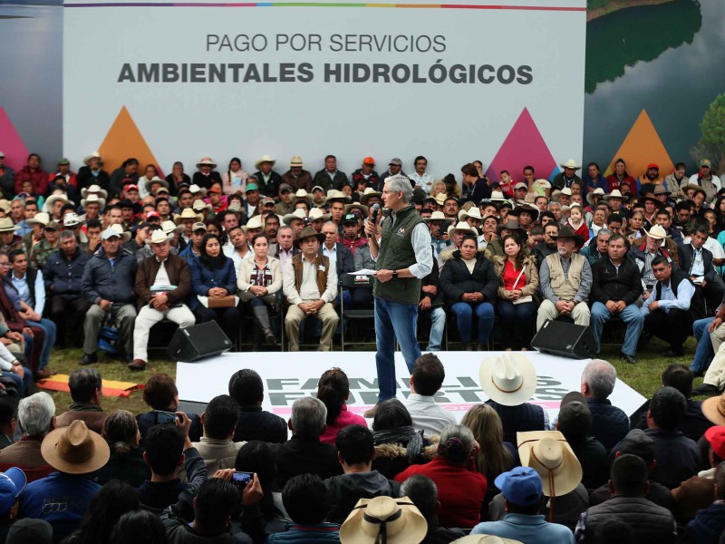 Se plantarán 14.5 millones de árboles en Edomex