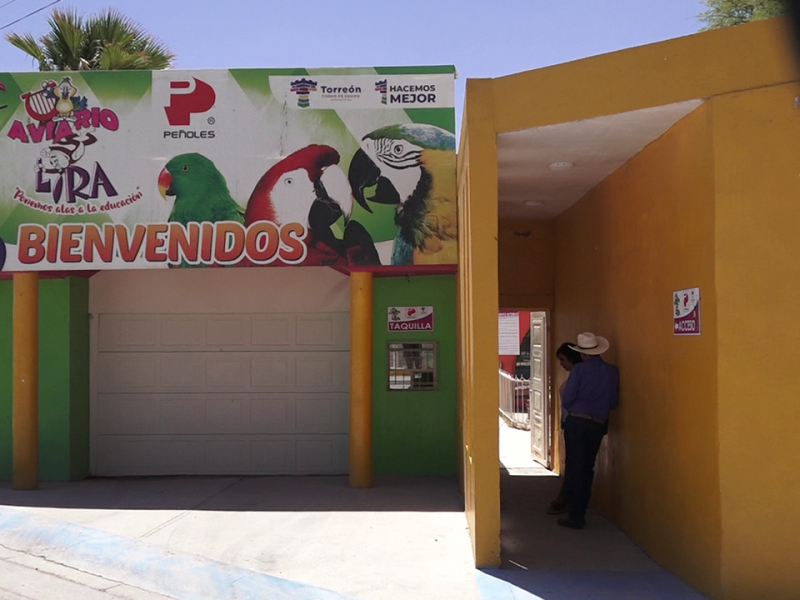 Se posiciona como atractivo turístico el Aviario Lira de Torreón