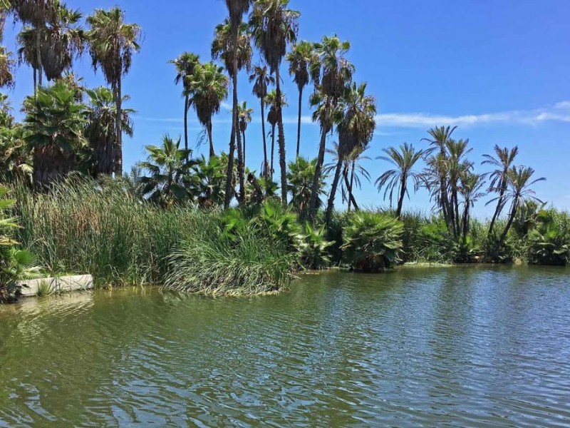 Se prepara ecología para temporada de calor