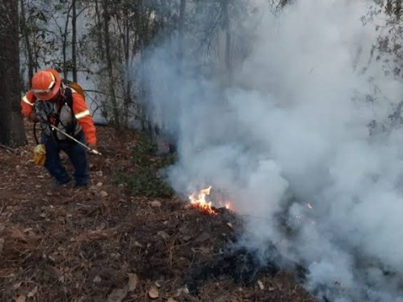 Se preparan brigadistas contra incendios en esta temporada de calor