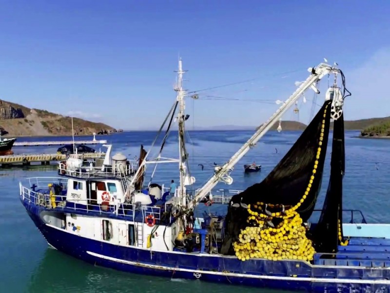 Se preparan para arranque de temporada sardinera