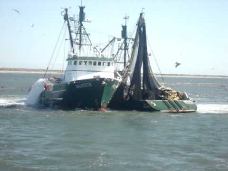 Se preparan sardineros para activarse