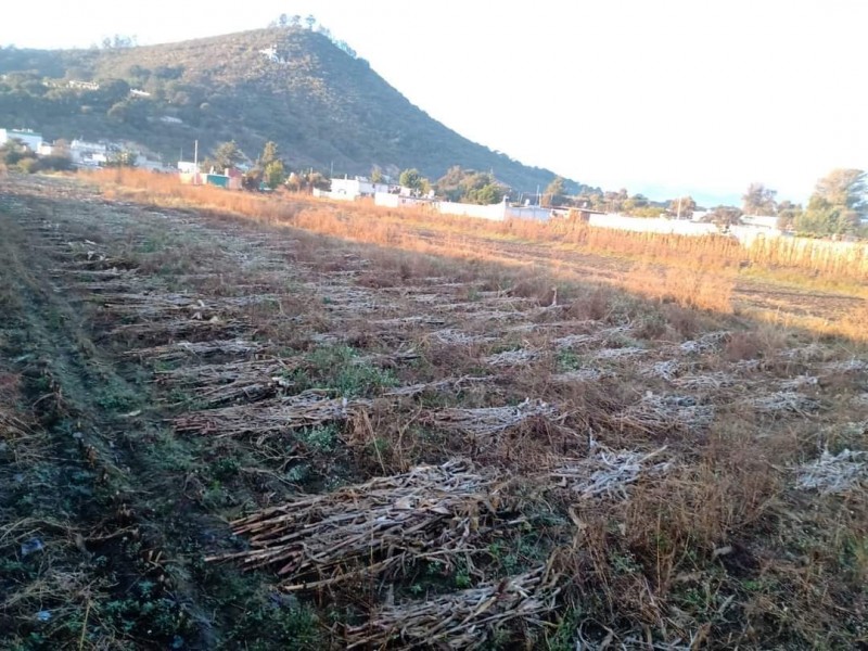 Se presenta helada en San Buenaventura Tecaltzingo, Texmelucan